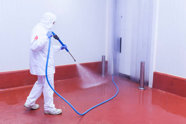 Professional Pressure Washing Services in Palmyra, NJ